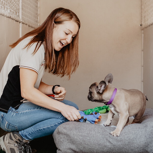 Club K9 Dog Boarding and Dog Daycare